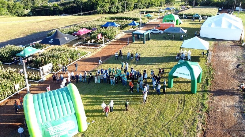 2ª Noite de Campo de Milho demonstra tecnologias para a produção do cereal