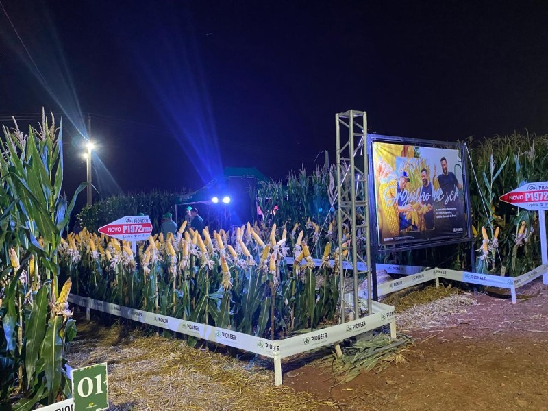 2ª Noite de Campo de Milho demonstra tecnologias para a produção do cereal