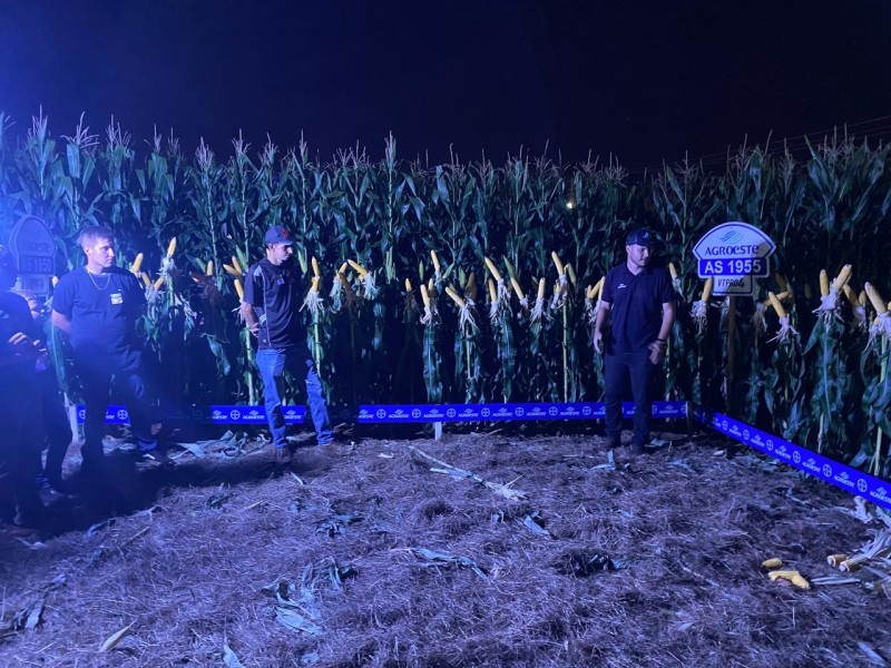 2ª Noite de Campo de Milho demonstra tecnologias para a produção do cereal