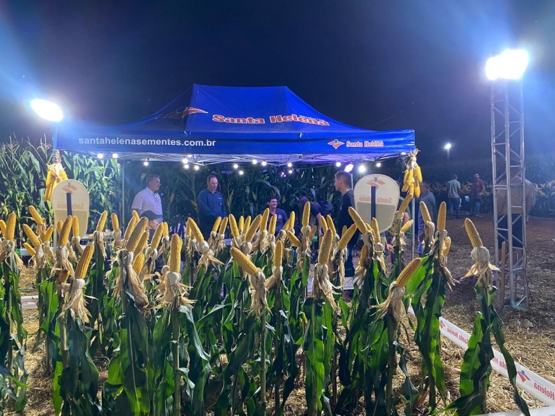 2ª Noite de Campo de Milho demonstra tecnologias para a produção do cereal