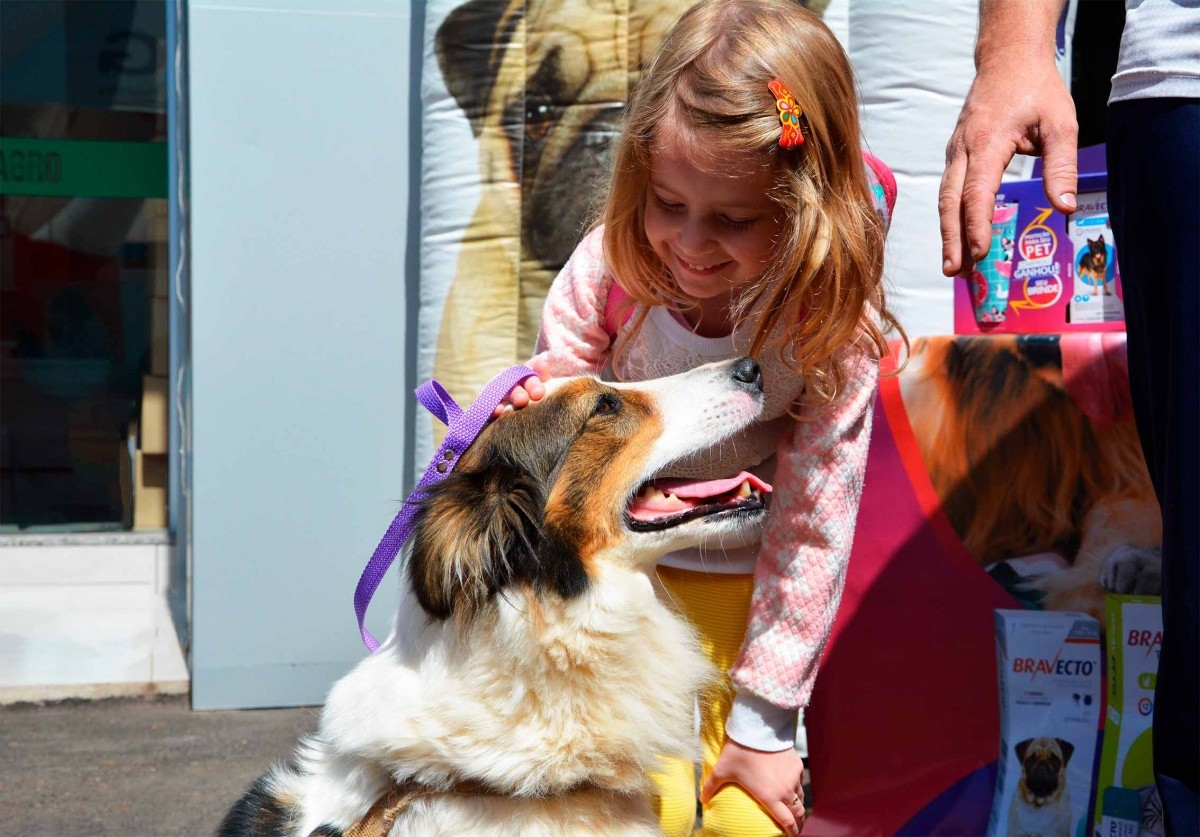 3ª Edição do Sábado Pet é realizada em Frederico Westphalen