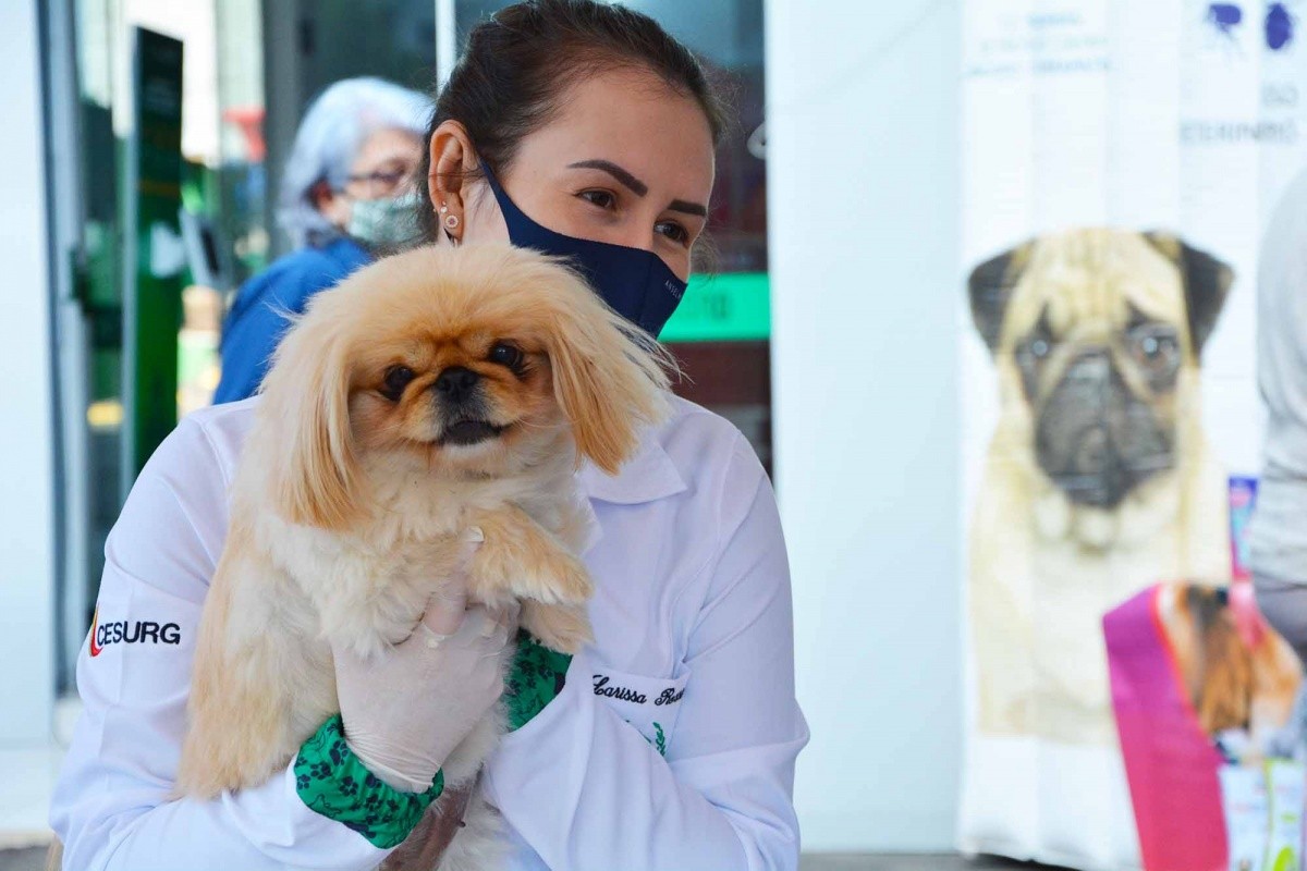 3ª Edição do Sábado Pet é realizada em Frederico Westphalen