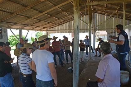 3ª Tarde de Campo sobre Cadeia Produtiva do Leite e Organização das Propriedades é realizada
