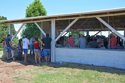 3ª Tarde de Campo sobre Cadeia Produtiva do Leite e Organização das Propriedades é realizada