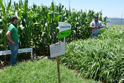 3ª Tarde de Campo sobre Cadeia Produtiva do Leite e Organização das Propriedades é realizada