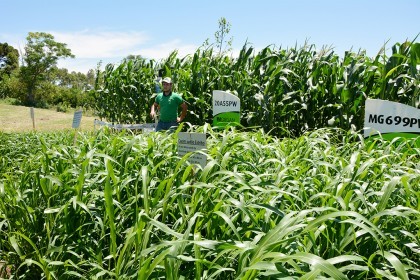 3ª Tarde de Campo sobre Cadeia Produtiva do Leite e Organização das Propriedades é realizada