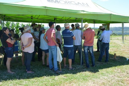 3ª Tarde de Campo sobre Cadeia Produtiva do Leite e Organização das Propriedades é realizada