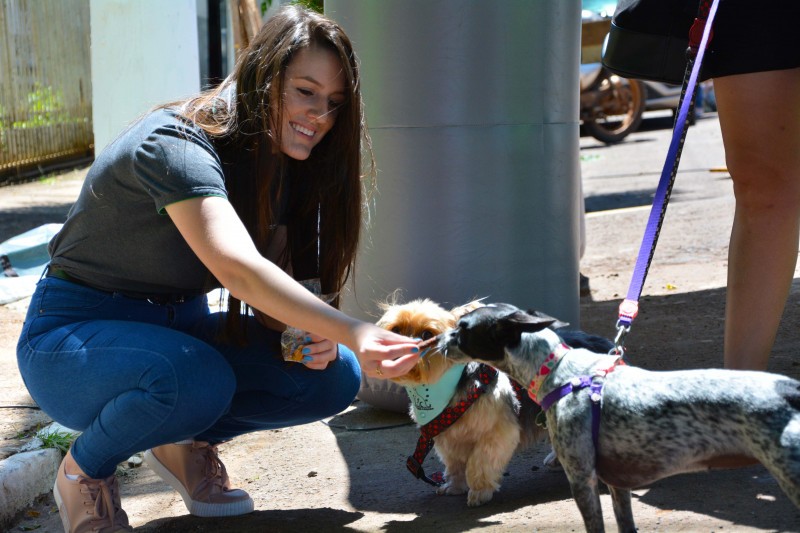 4ª edição do Sábado Pet é realizada