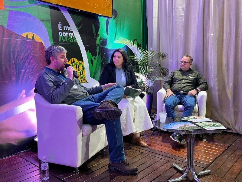 Altas produtividades exigem manejo preciso ao longo do ciclo