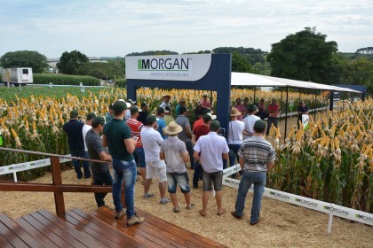 Associados da Cotrifred participaram da 19ª edição da Expodireto