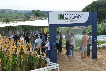 Associados da Cotrifred participaram da 19ª edição da Expodireto