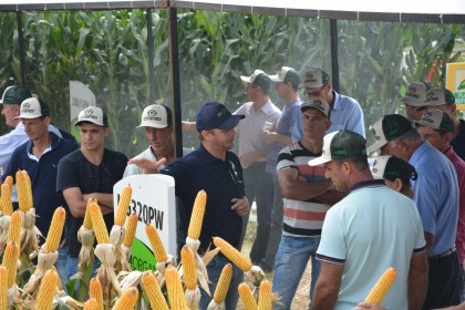 Associados da Cotrifred participaram da 19ª edição da Expodireto