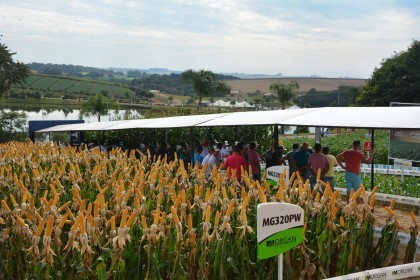 Associados da Cotrifred participaram da 19ª edição da Expodireto