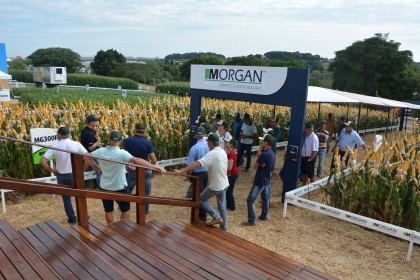 Associados da Cotrifred participaram da 19ª edição da Expodireto