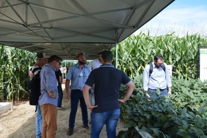 Associados da Cotrifred participaram da 19ª edição da Expodireto