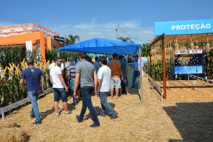 Associados da Cotrifred participaram da 19ª edição da Expodireto