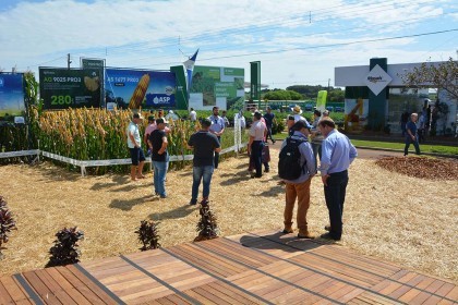 Associados da Cotrifred participaram da 19ª edição da Expodireto
