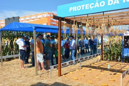 Associados da Cotrifred participaram da 19ª edição da Expodireto