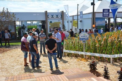 Associados da Cotrifred participaram da 19ª edição da Expodireto