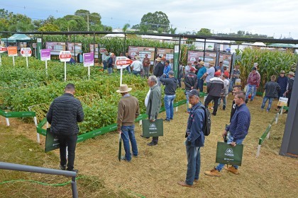 Associados da Cotrifred participaram da 20ª edição da Expodireto