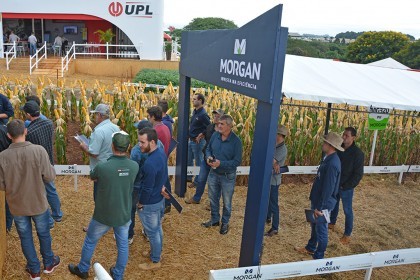 Associados da Cotrifred participaram da 20ª edição da Expodireto