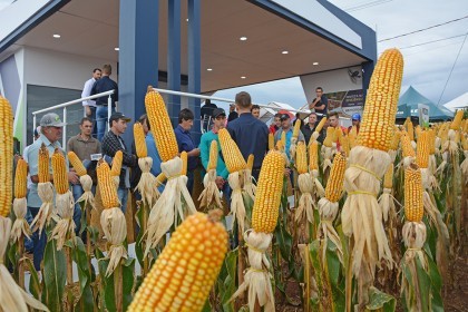Associados da Cotrifred participaram da 20ª edição da Expodireto