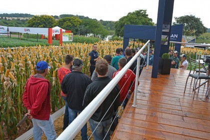 Associados da Cotrifred participaram da 20ª edição da Expodireto