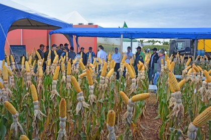 Associados da Cotrifred participaram da 20ª edição da Expodireto