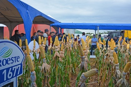 Associados da Cotrifred participaram da 20ª edição da Expodireto