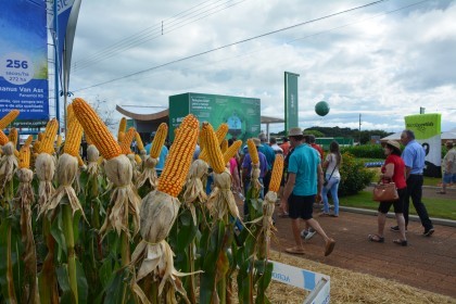 Associados da COTRIFRED participarão da 18ª edição da Expodireto
