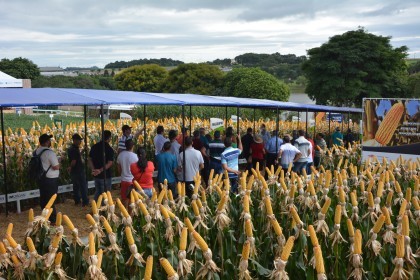 Associados da COTRIFRED participarão da 18ª edição da Expodireto