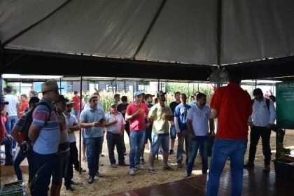 Associados da COTRIFRED participarão da 18ª edição da Expodireto