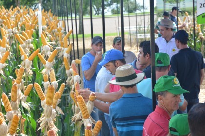 Associados da COTRIFRED participarão da 18ª edição da Expodireto