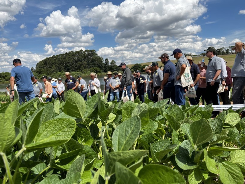 Associados e equipe técnica da Cotrifred participam do Show Técnico Cooperativo