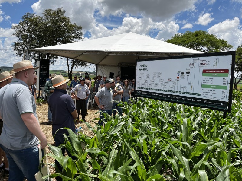 Associados e equipe técnica da Cotrifred participam do Show Técnico Cooperativo