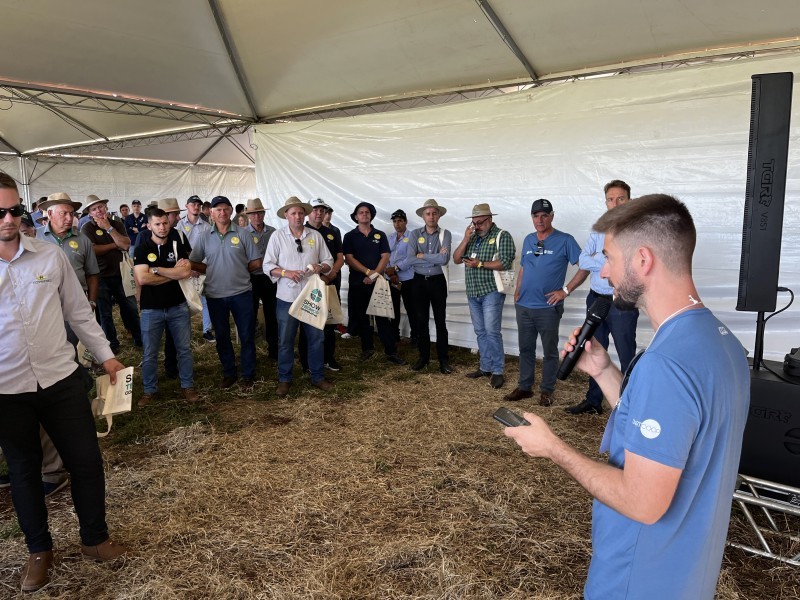 Associados e equipe técnica da Cotrifred participam do Show Técnico Cooperativo