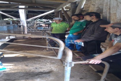 Associados participam de capacitação