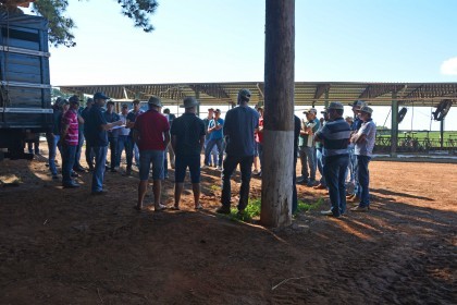 Associados realizam visita técnica em Almirante Tamandaré do Sul