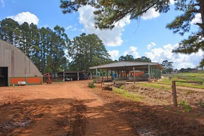 Associados realizam visita técnica em Almirante Tamandaré do Sul