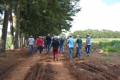 Associados realizam visita técnica em Almirante Tamandaré do Sul