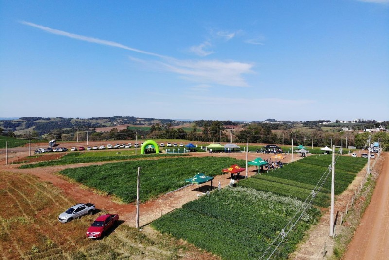 AVALIAÇÃO DE CULTIVARES DE TRIGO É TEMA DE DIA DE CAMPO COTRIFRED