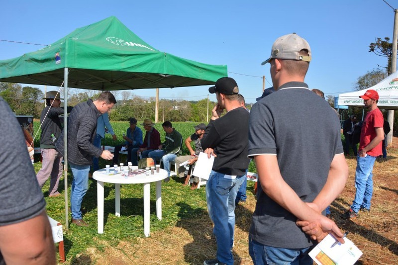 AVALIAÇÃO DE CULTIVARES DE TRIGO É TEMA DE DIA DE CAMPO COTRIFRED