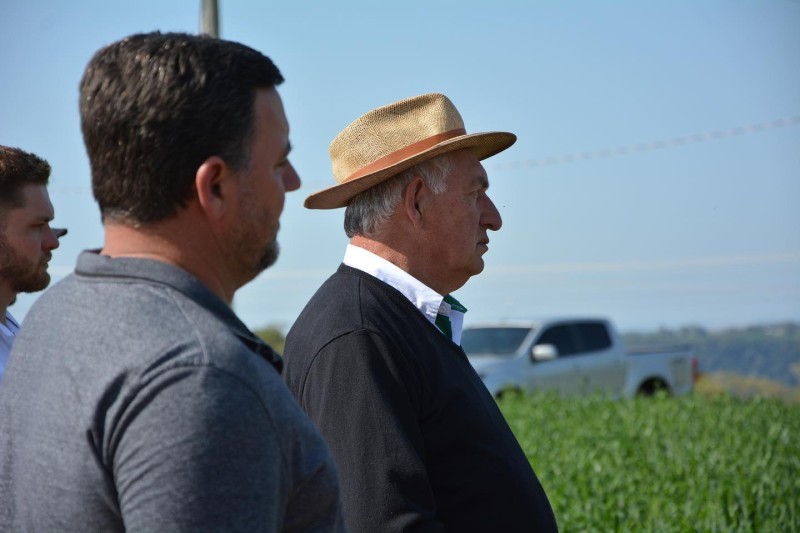 AVALIAÇÃO DE CULTIVARES DE TRIGO É TEMA DE DIA DE CAMPO COTRIFRED