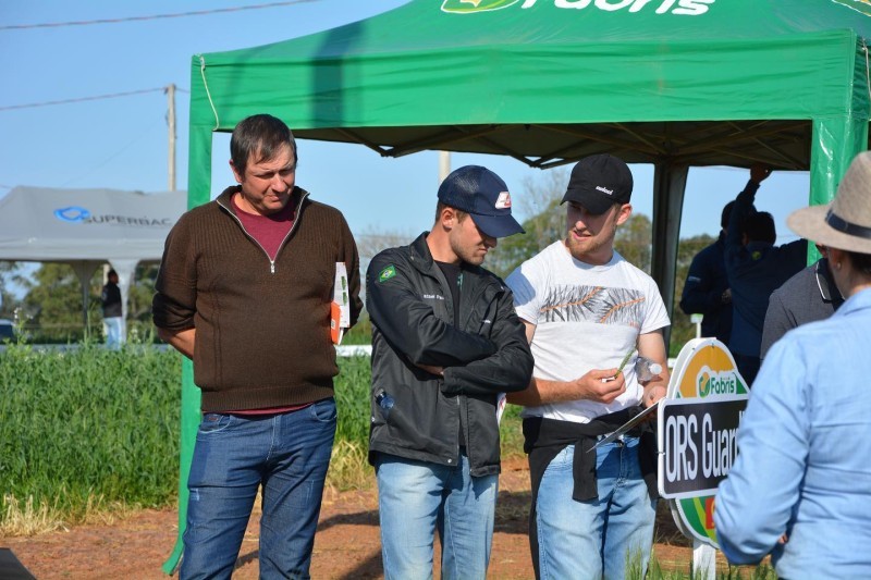 AVALIAÇÃO DE CULTIVARES DE TRIGO É TEMA DE DIA DE CAMPO COTRIFRED