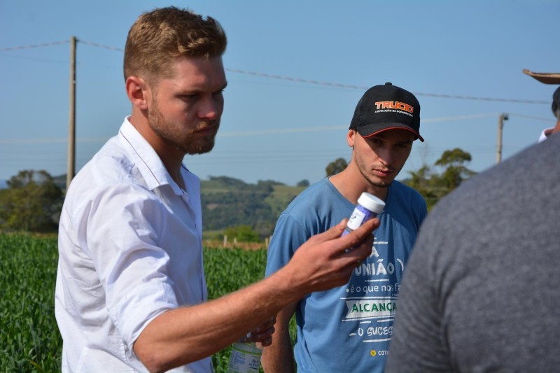 AVALIAÇÃO DE CULTIVARES DE TRIGO É TEMA DE DIA DE CAMPO COTRIFRED