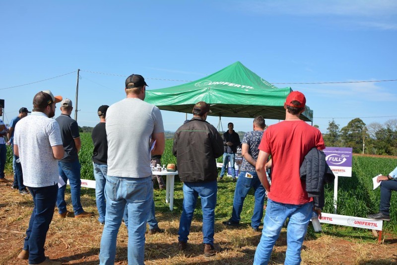 AVALIAÇÃO DE CULTIVARES DE TRIGO É TEMA DE DIA DE CAMPO COTRIFRED