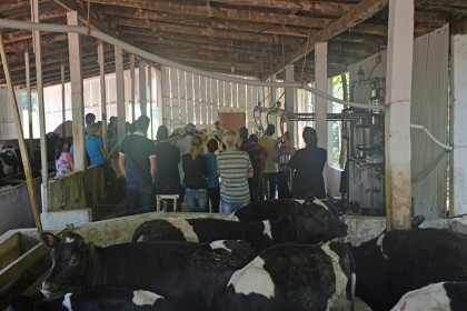 Capacitação técnica destaca características da “vaca ideal”