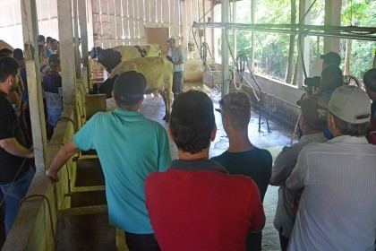Capacitação técnica destaca características da “vaca ideal”