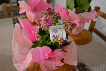 Colaboradoras da COTRIFRED comemoram Dia Internacional da Mulher