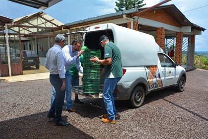 Colaboradores da Cotrifred realização doação a entidades carentes